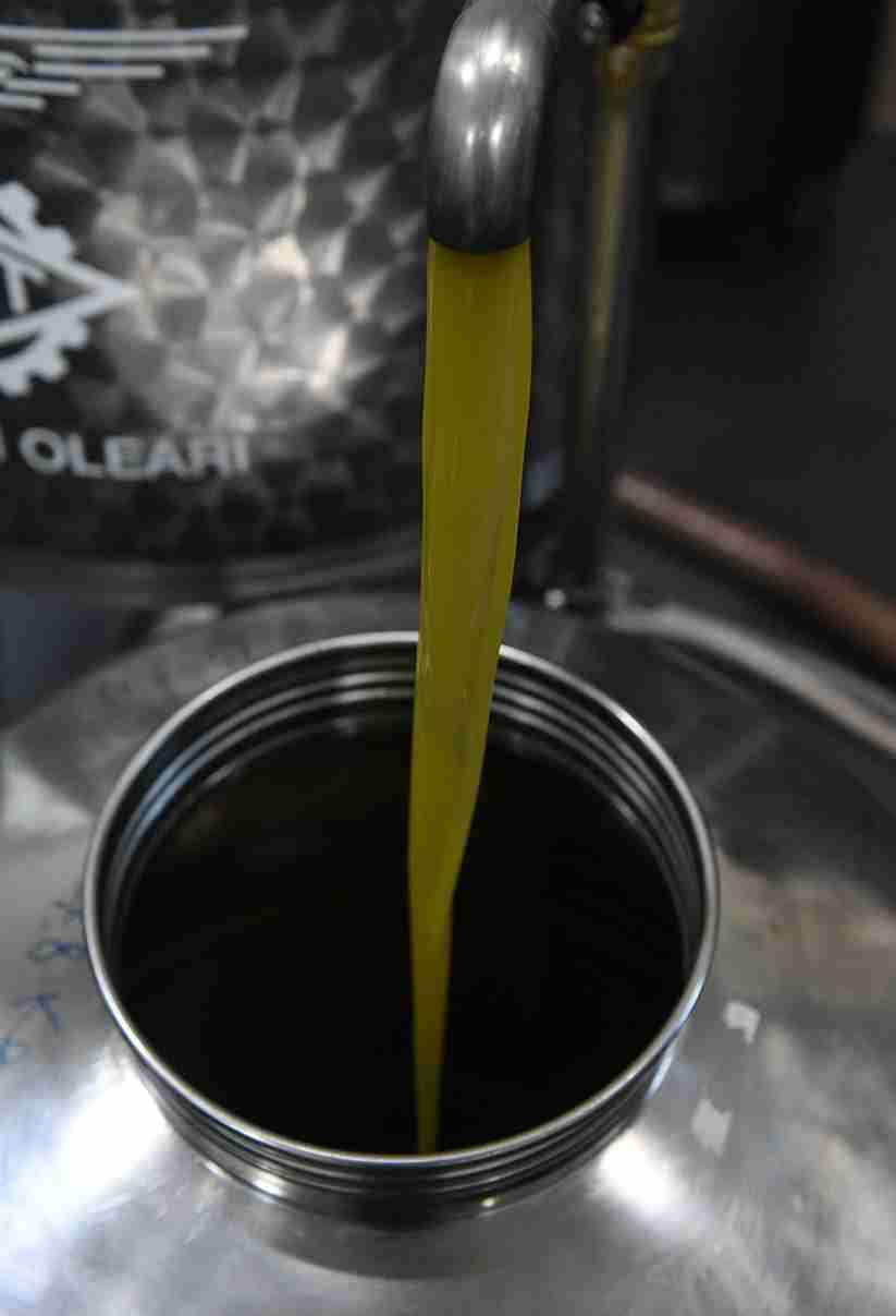 quality of extra virgin olive oil