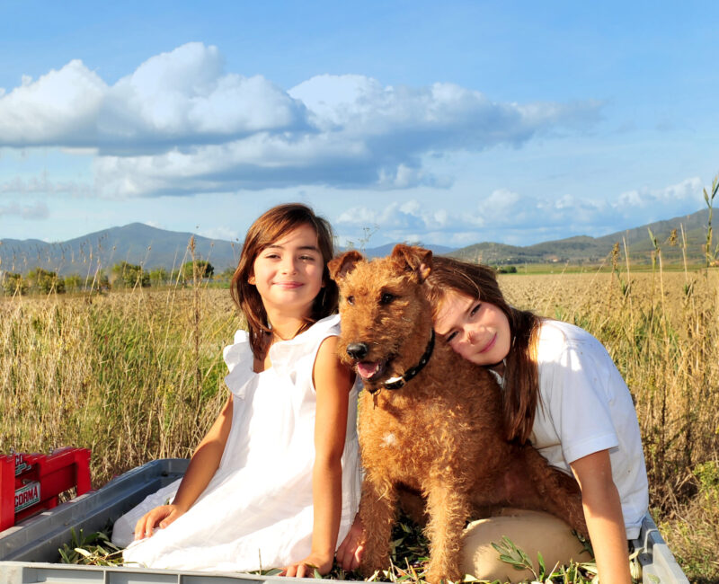 OleaPrilis_about_us (1)