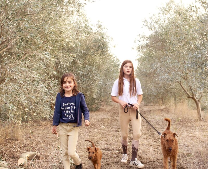 OleaPrilis_about_us (2)