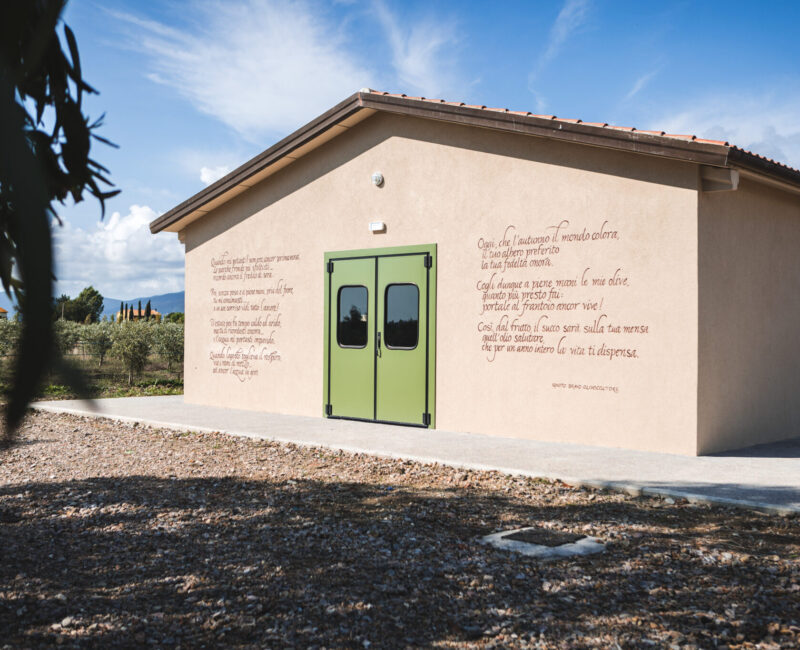 Olea_prilis_27092024_004