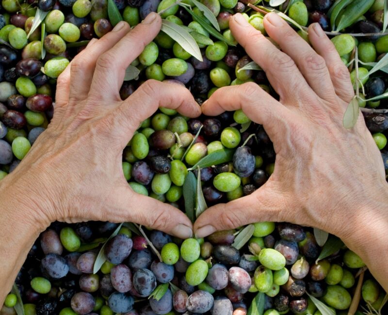 health benefits olive oil section