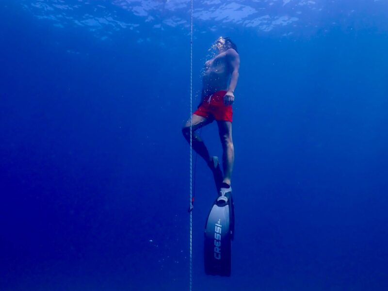 pexels-bobby-brown-255077068-12681001